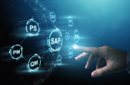 images_9353691196_ec313ef5305f3-Servicos-de-consultoria-SAP